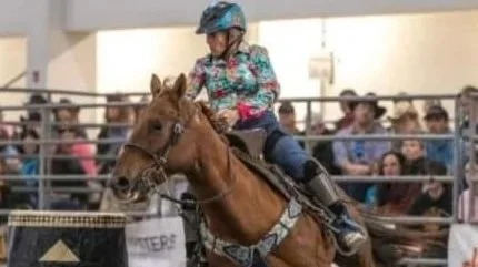 Denise Stoddart Mini Clinics