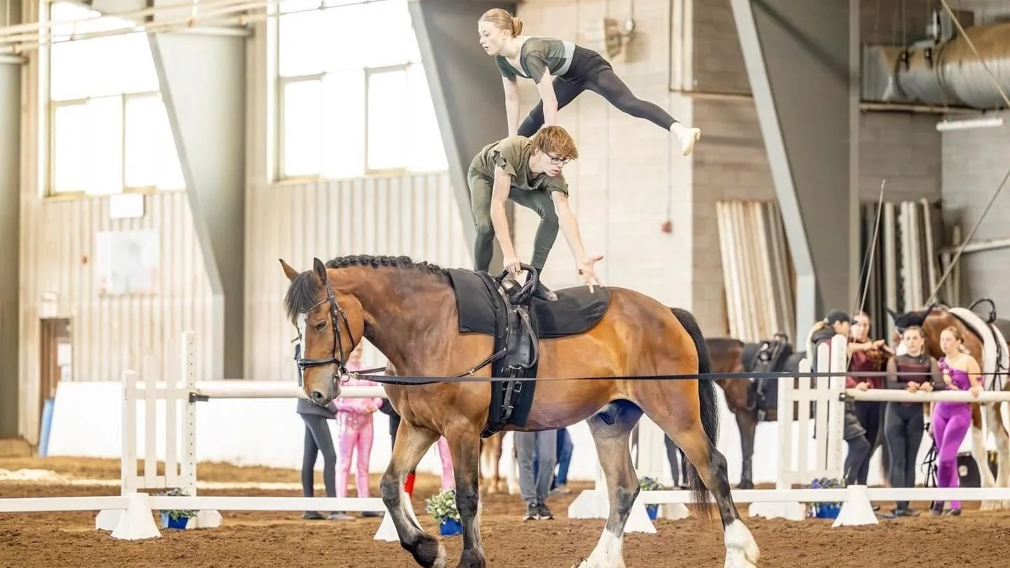 Vaulting Clinic - Tentative