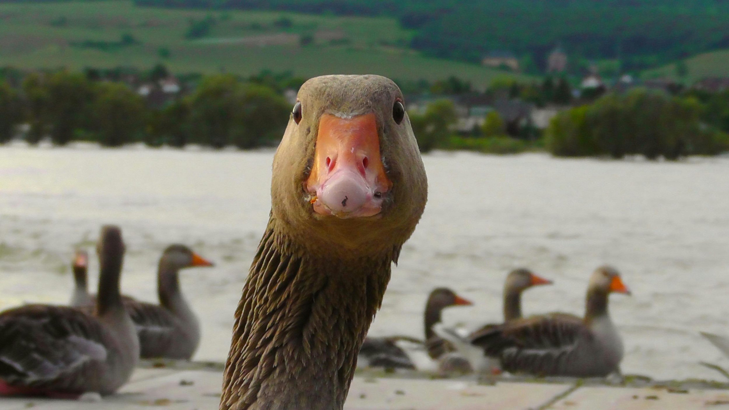 Want to connect with communities? Lead with curiosity