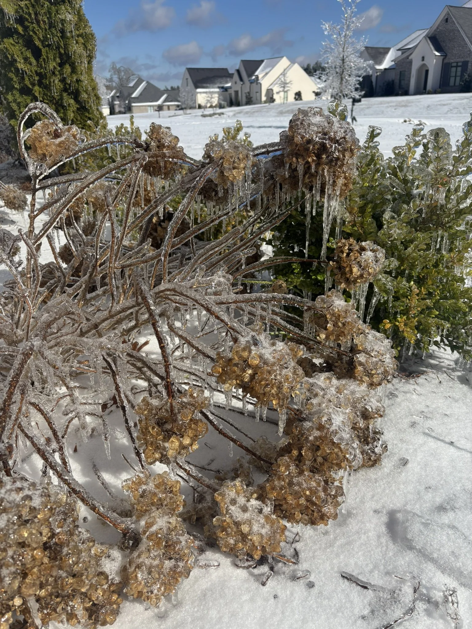 Winter Storm Fern