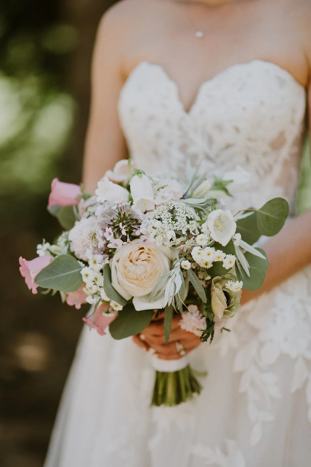 Photo Credits: Jenna Noelle