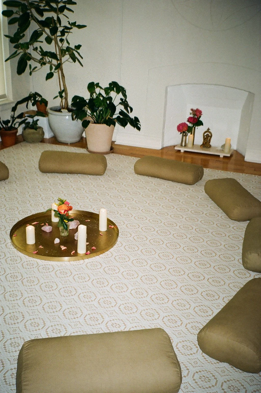 Glow + Flow: A Full Body Lymphatic Workshop
