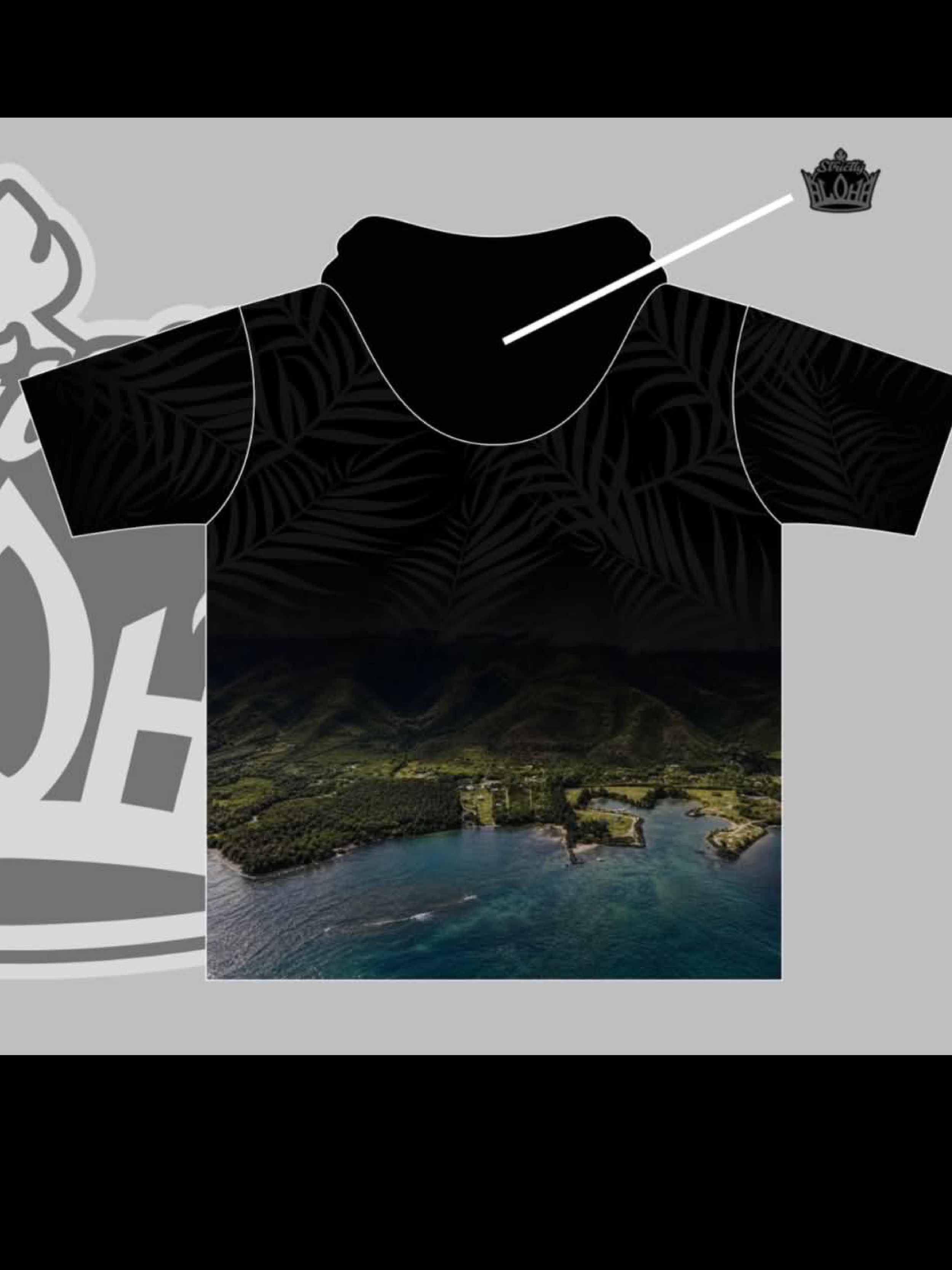 SS Hoodie Back.png