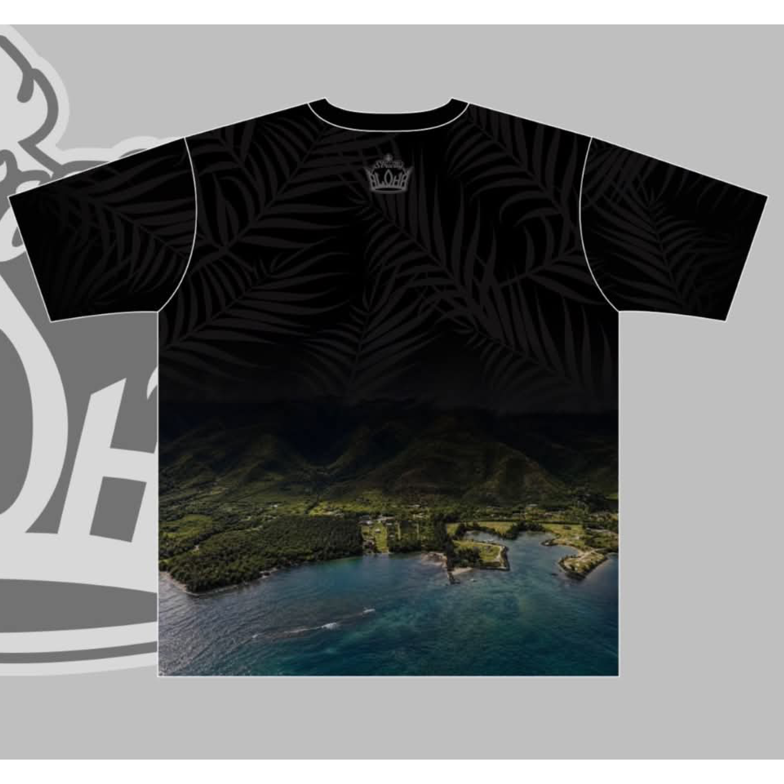 Smaller Back Shirt.png