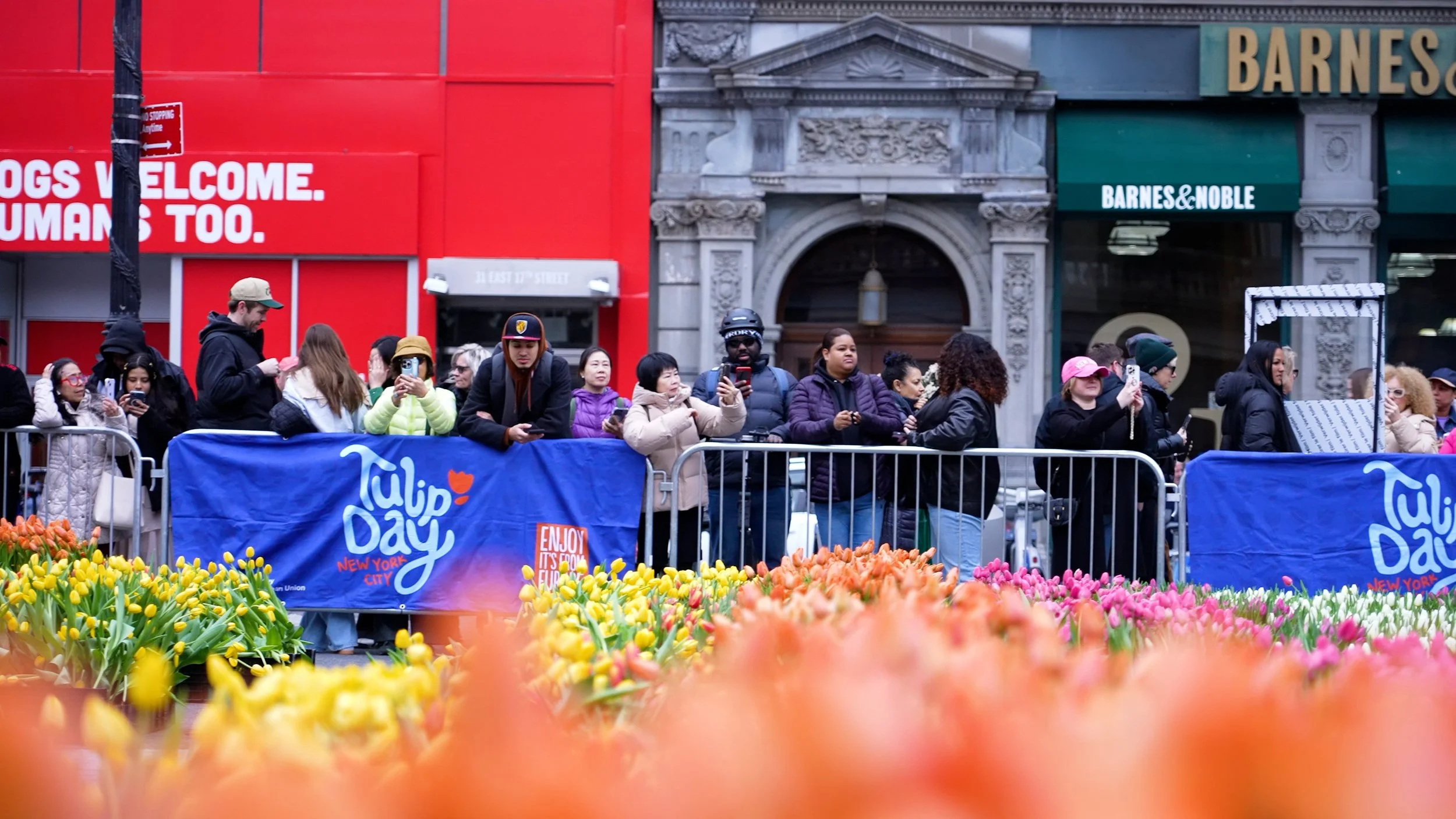 Tulip Day People Waiting.jpg
