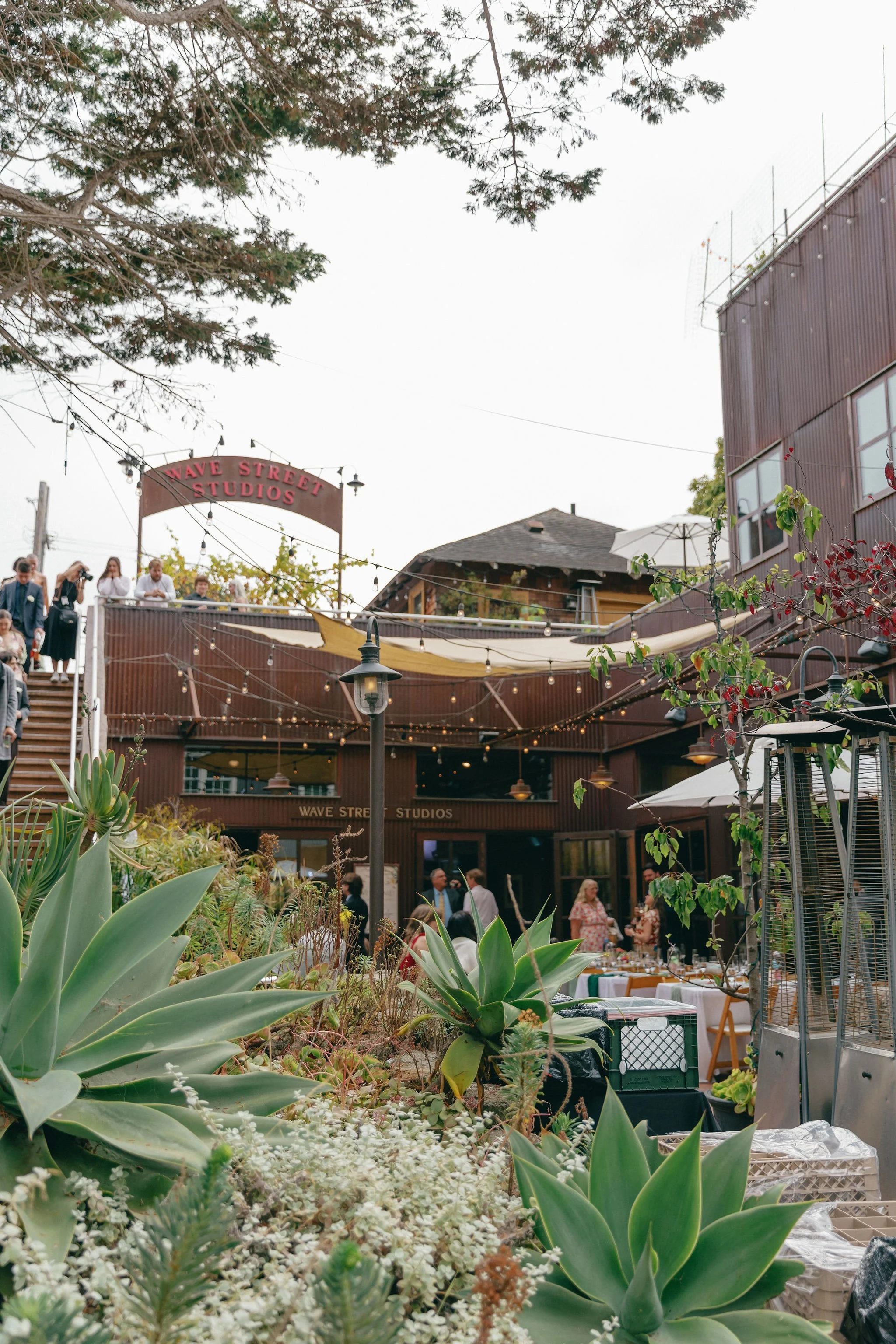 Kaelyn+Seigo-730.jpg