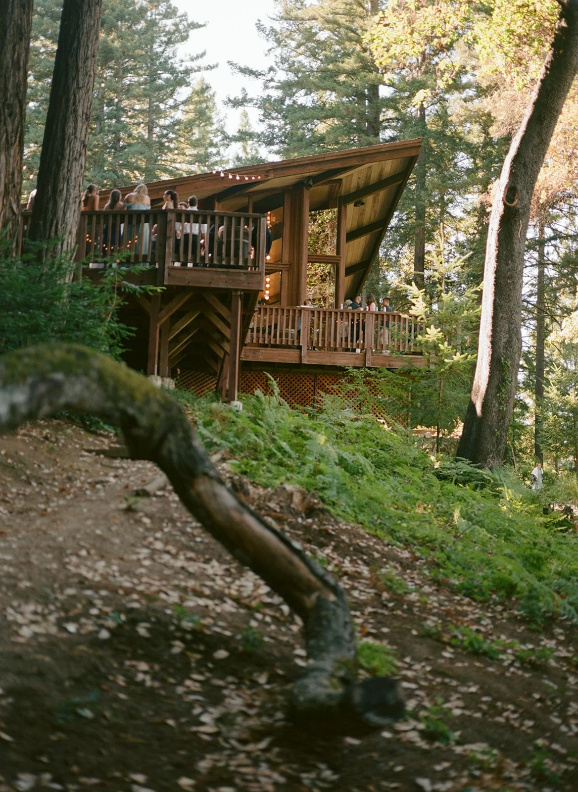 Jenny Losee Photography (6 of 122).jpg