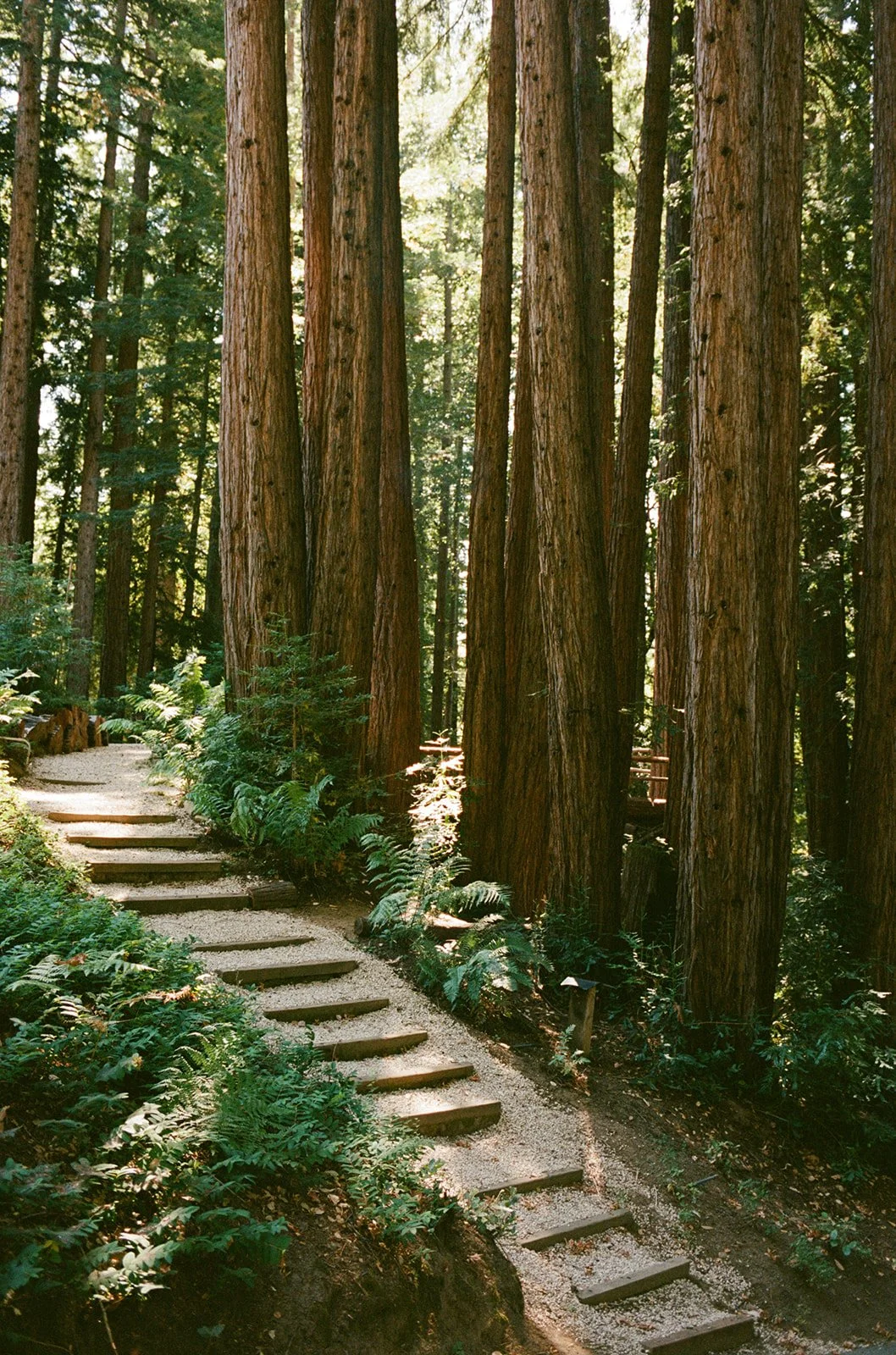 Jenny Losee Photography (10 of 122).jpg