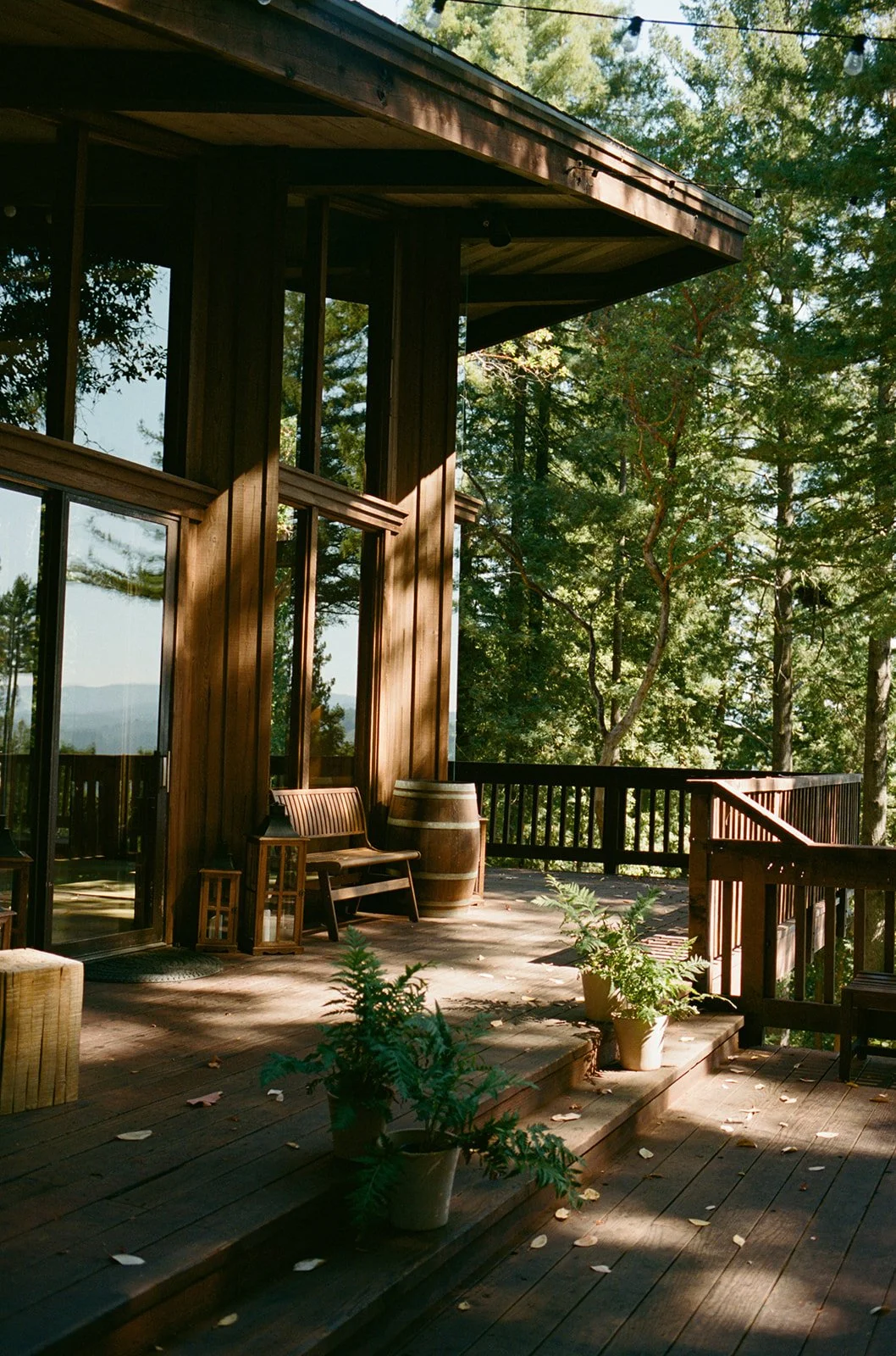 Jenny Losee Photography (11 of 122).jpg