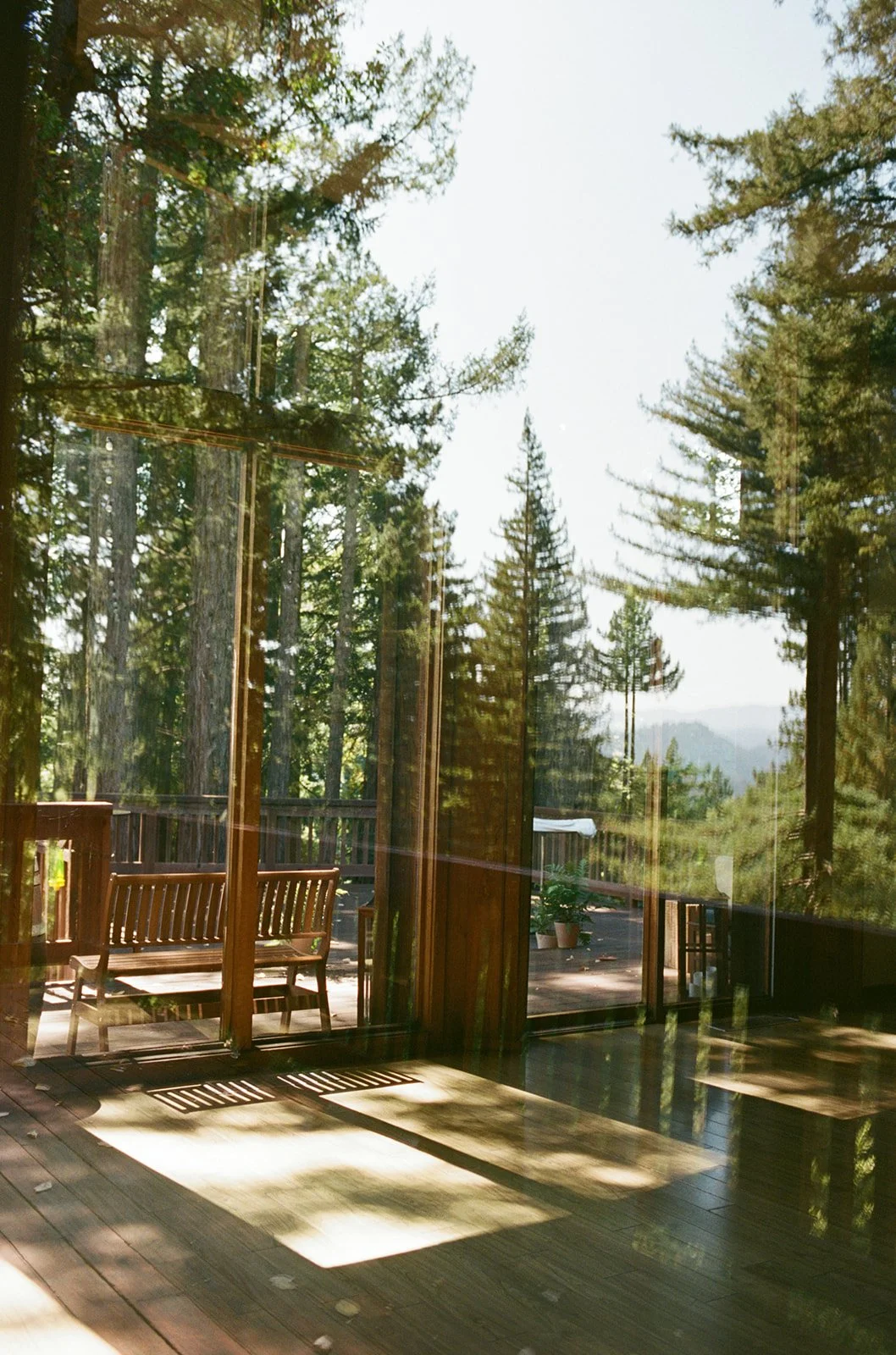 Jenny Losee Photography (13 of 122).jpg