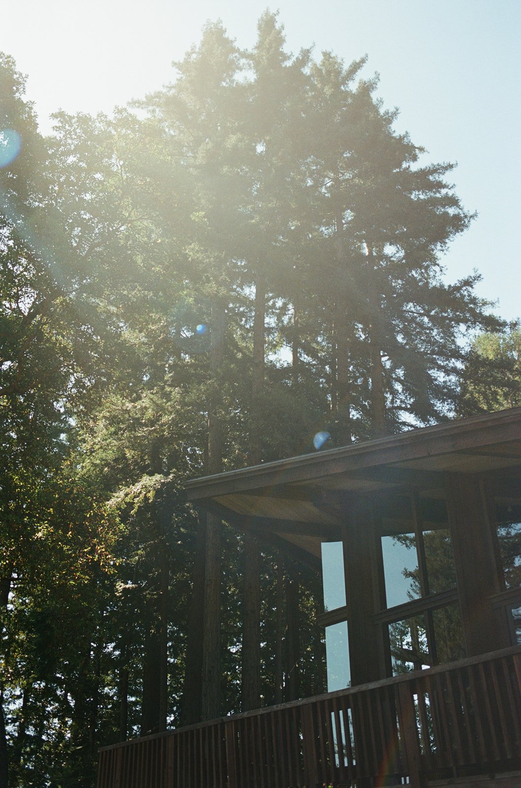 Jenny Losee Photography (14 of 122).jpg