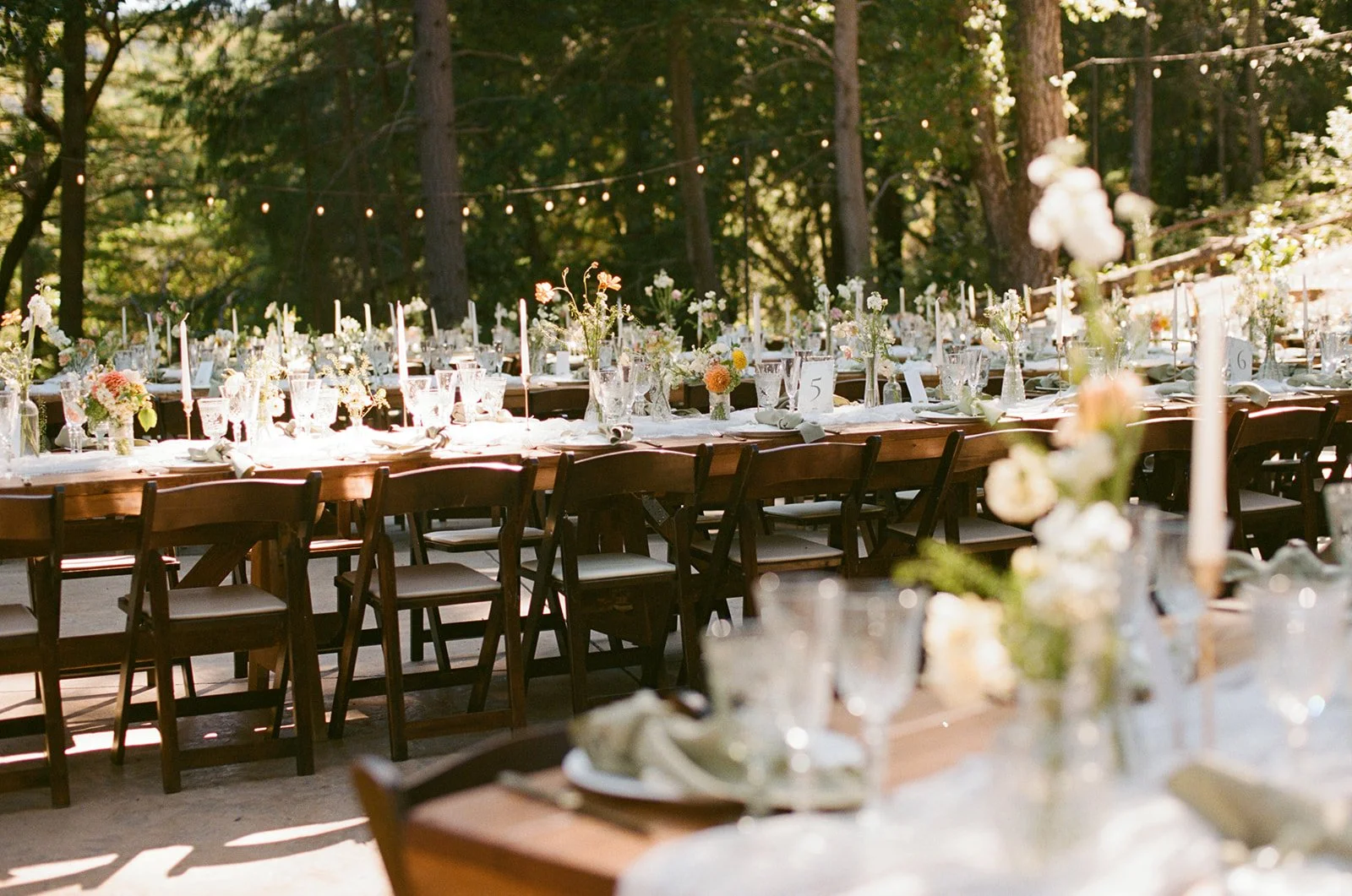 Jenny Losee Photography (31 of 122).jpg