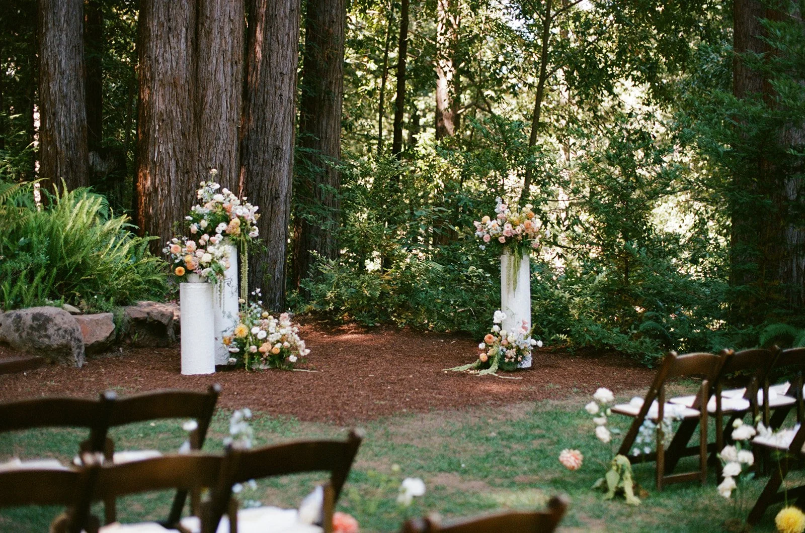 Jenny Losee Photography (37 of 122).jpg