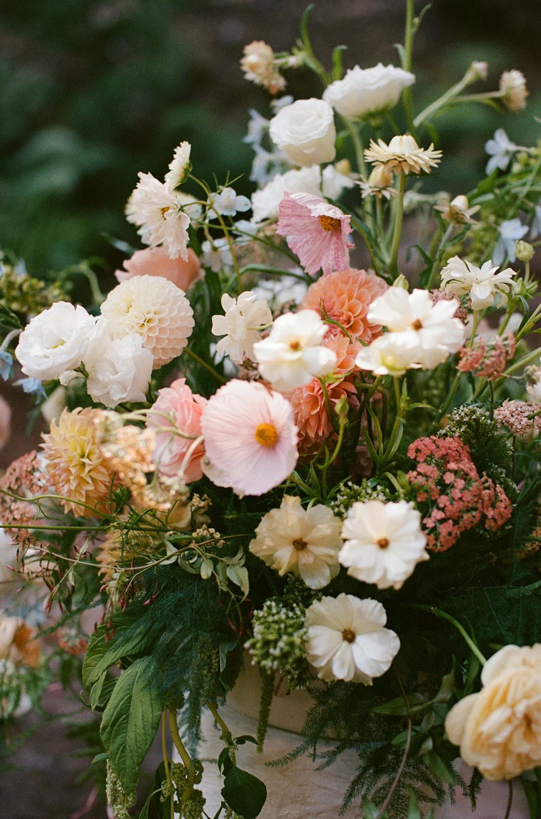 Jenny Losee Photography (50 of 122).jpg