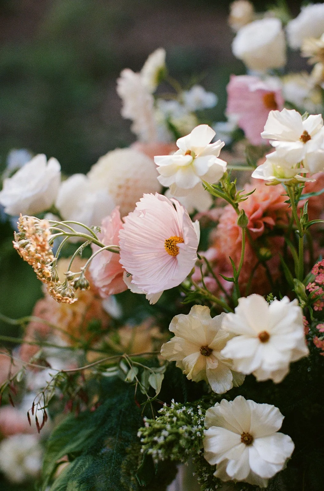 Jenny Losee Photography (51 of 122).jpg