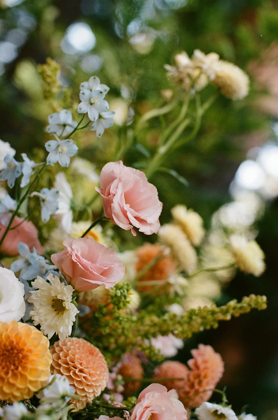 Jenny Losee Photography (57 of 122).jpg