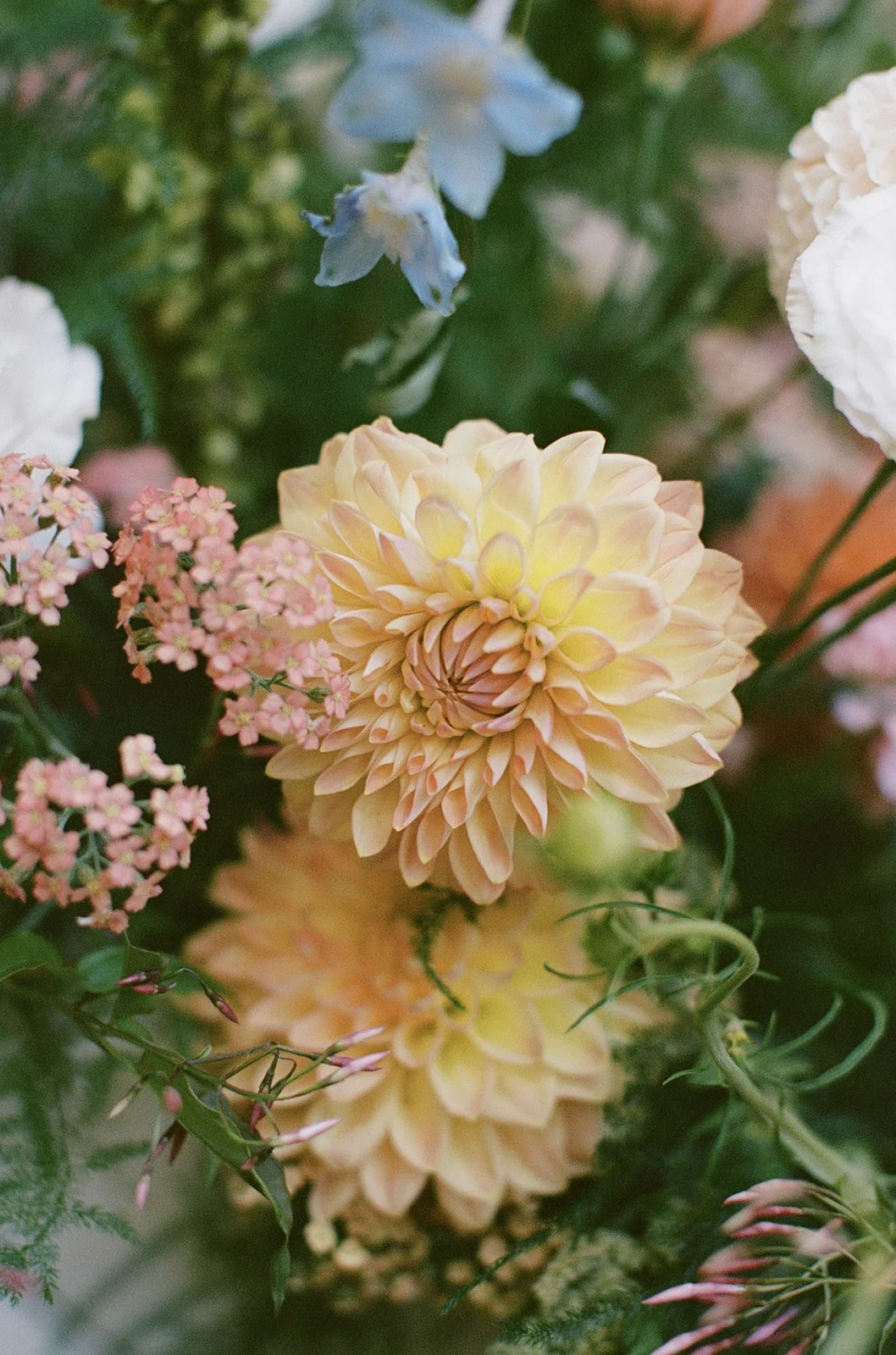 Jenny Losee Photography (537 of 1122).jpg