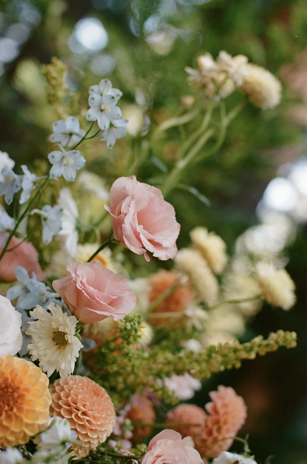 Jenny Losee Photography (547 of 1122).jpg