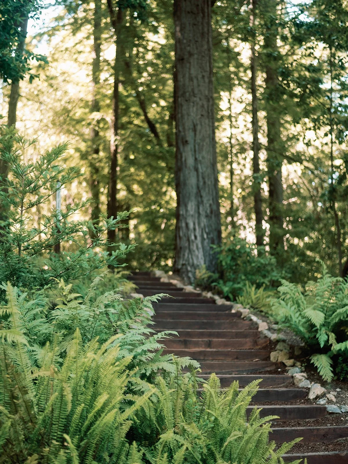 Jenny Losee Photography (577 of 1122).jpg