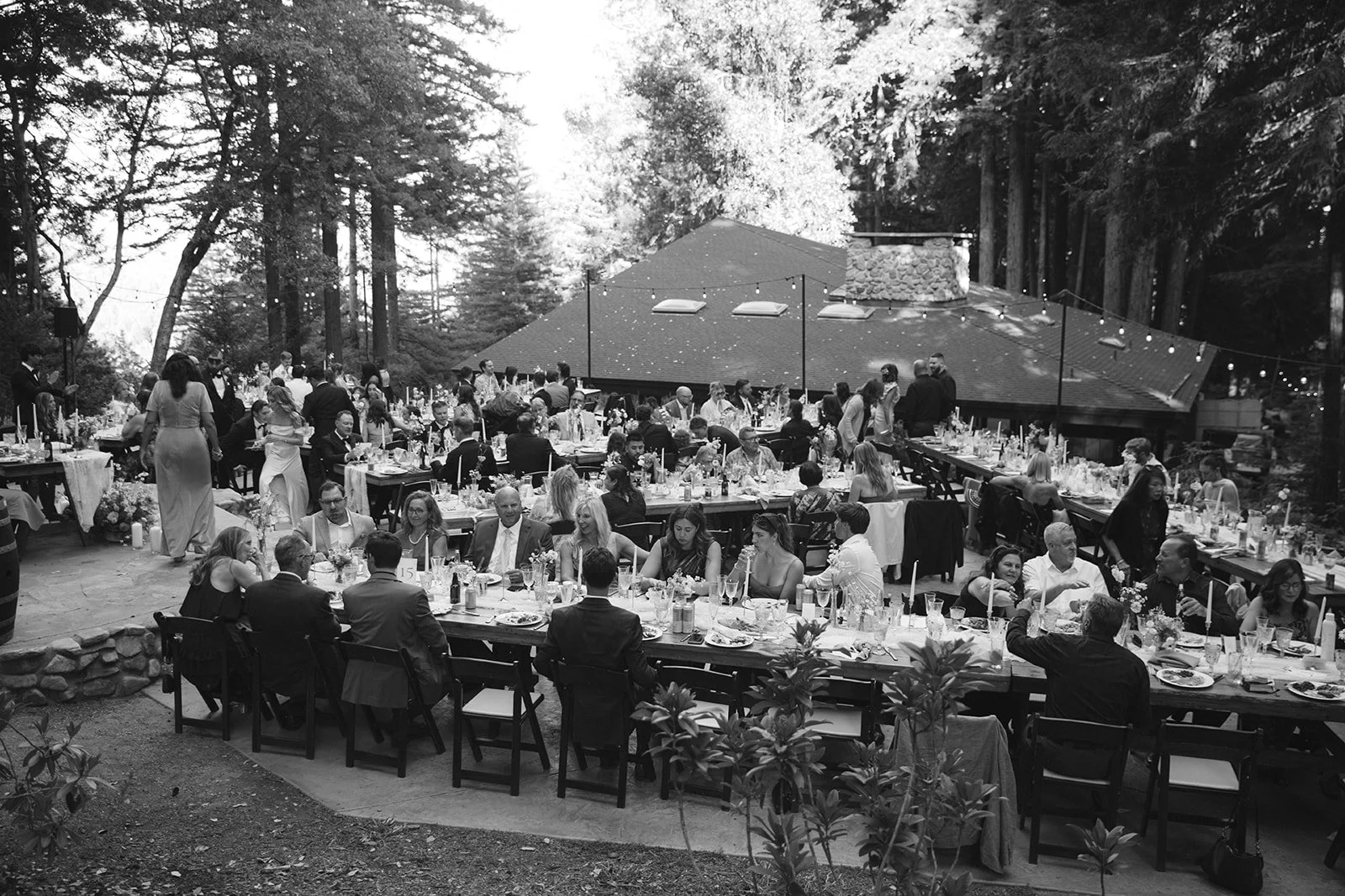 Jenny Losee Photography (854 of 1122).jpg