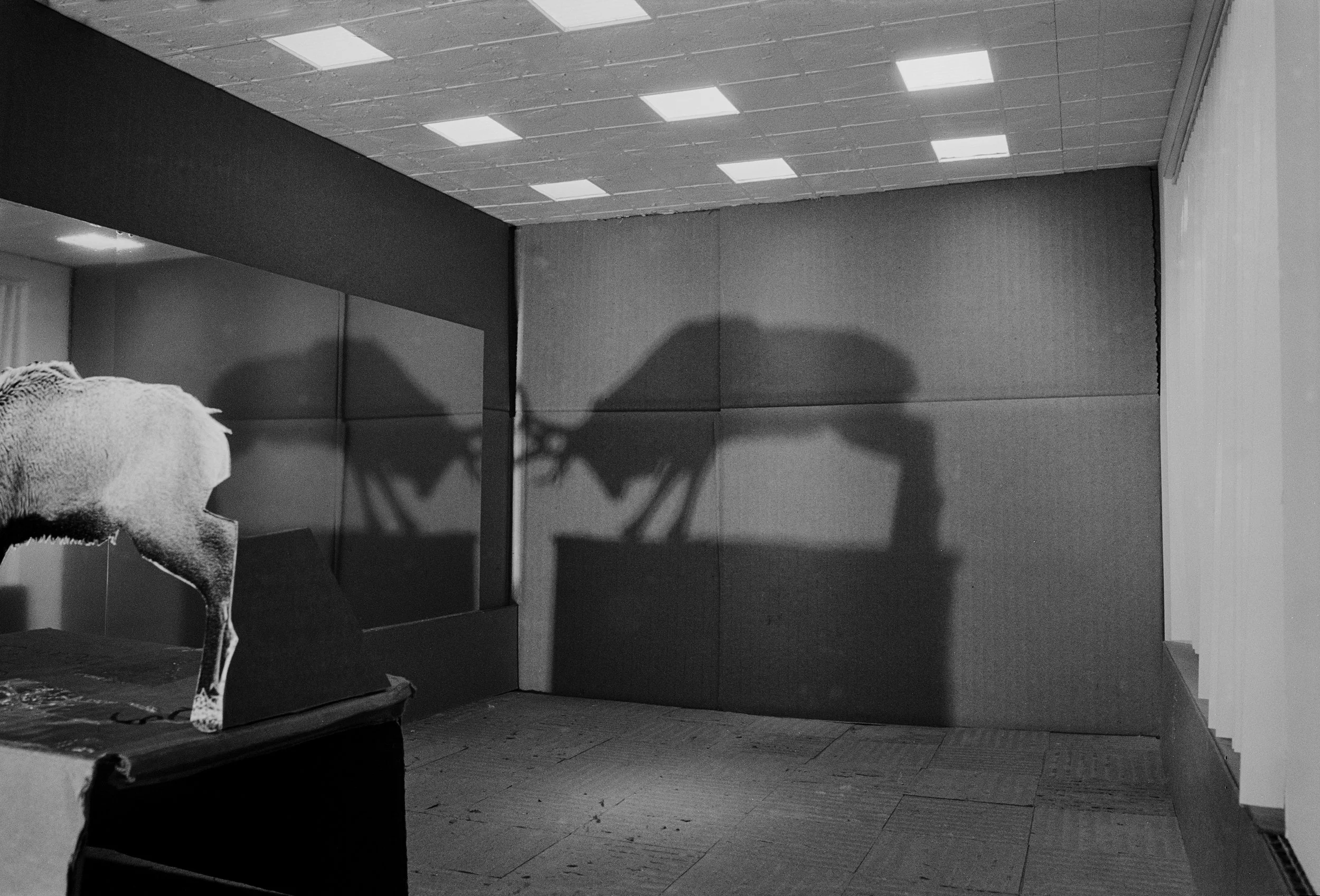 Robin_elk shadow_Press Image copy.jpg