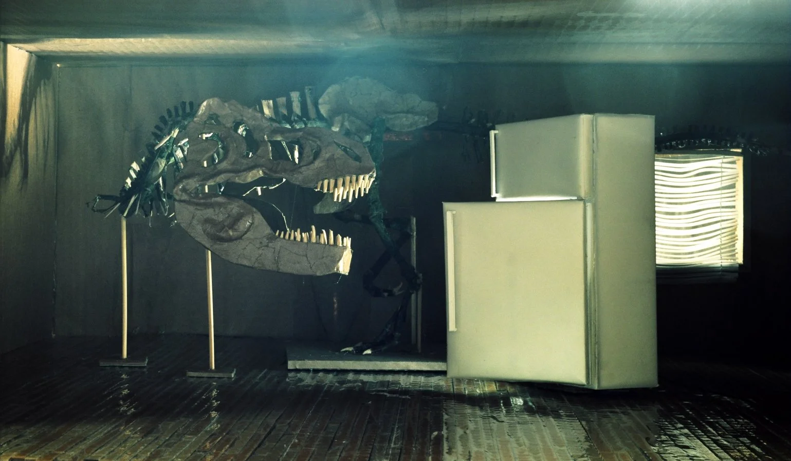 trex daytime.jpg