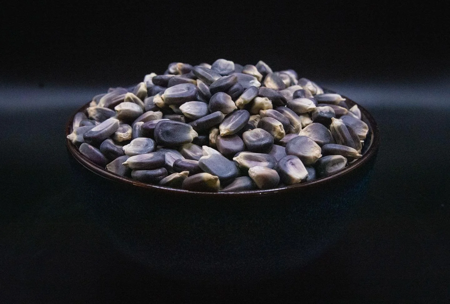 From corn, to masa, to tortilla 💙 our indigo blue kernels definitely stand out against the other colors! 
.
.
#masa #nixtamal #nixtamalization #florida #clearwater #dunedin #tampa #tampabay #mexicanfood #tortilla #corn #indigocorn #wholesale #restau