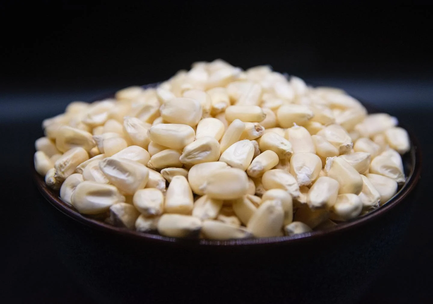 Our OG white corn 🌽  endless possibilities, it gives us a blank canvas to create 🎨 
.
.
#corn #whitecorn #conamor #florida #tampabay #tampa #clearwater #stpete #largo #dunedin #nixtamal #nixtamalization #orders #freshground #freshmasa #masa #masato