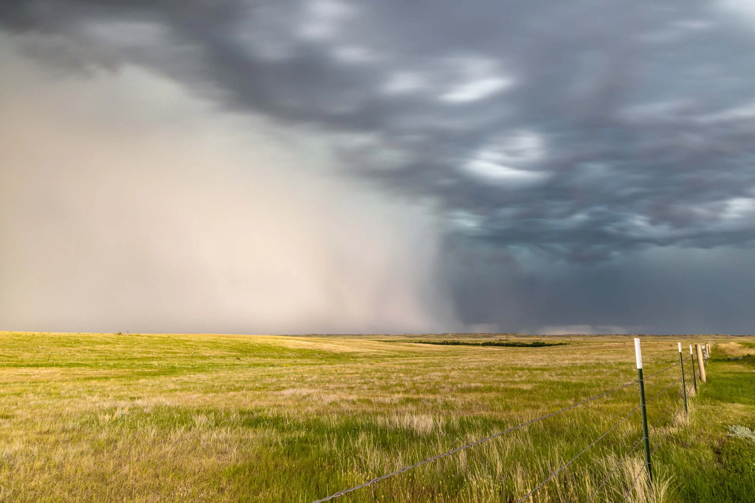 SierraHopp_NewUnderwoodStorm-1.jpg