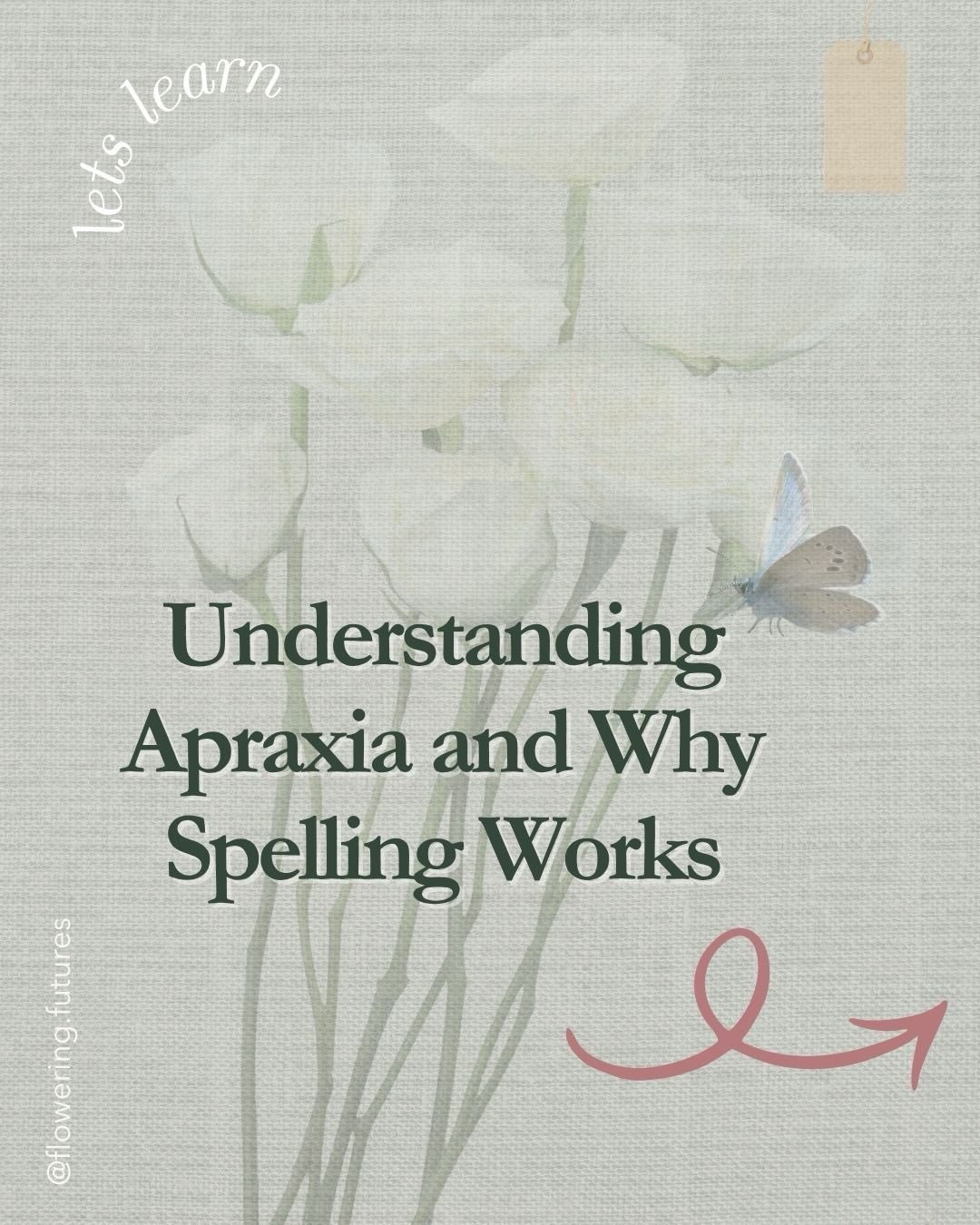 Apraxia is a disconnect between intention and execution. The thought is there. The body won't cooperate. That's a motor issue, not a cognitive one.

Nina spent years being taught at a kindergarten level because she couldn't match colors on paper or h