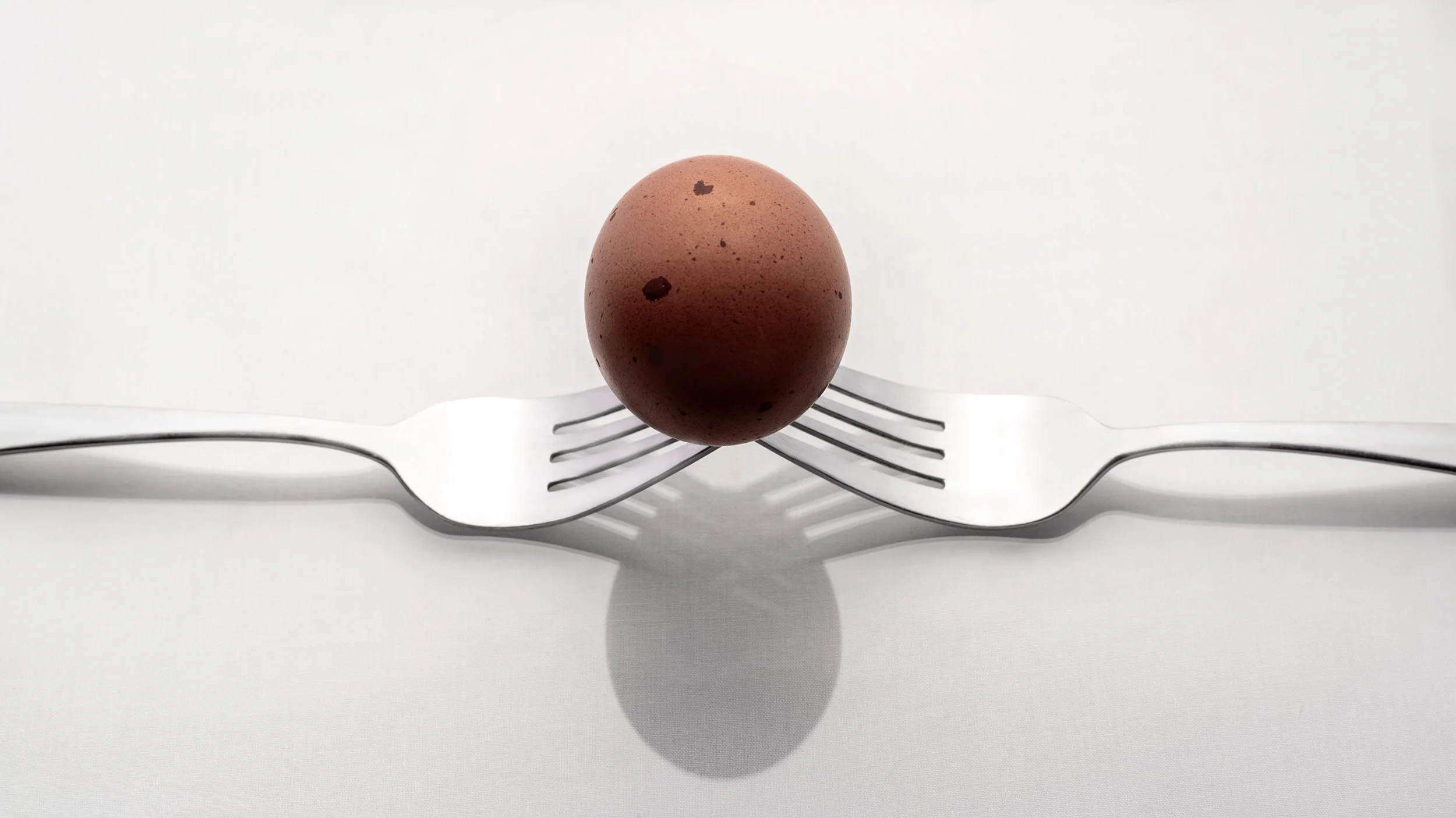 EGG ON FORKS.jpg