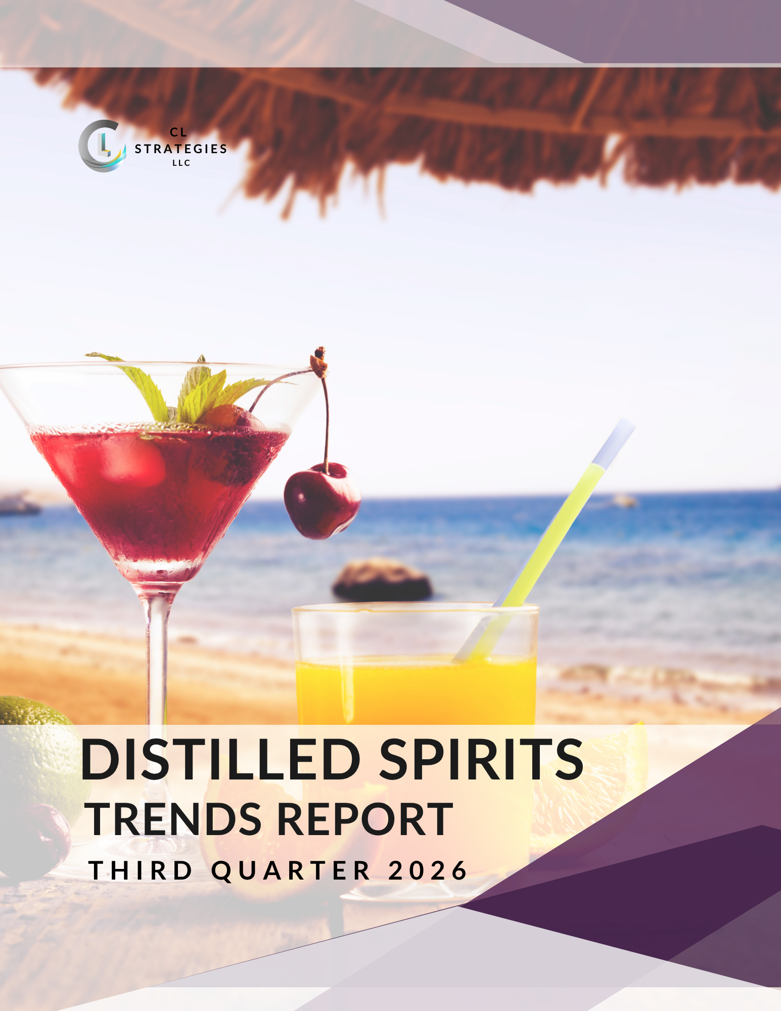 Q3 Spirits Report Cover.png