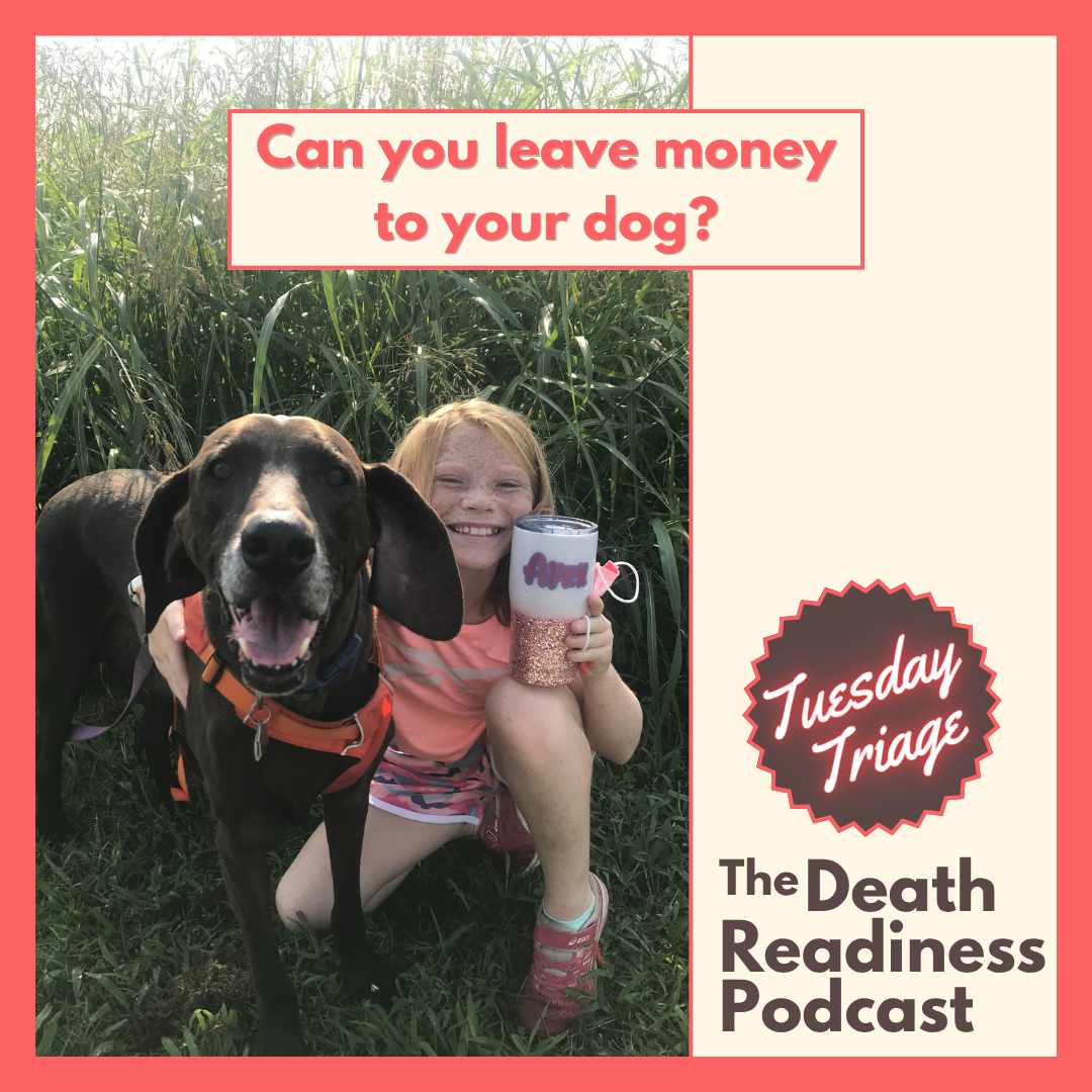 Episode 40: Can You Leave Money to Your Dog?