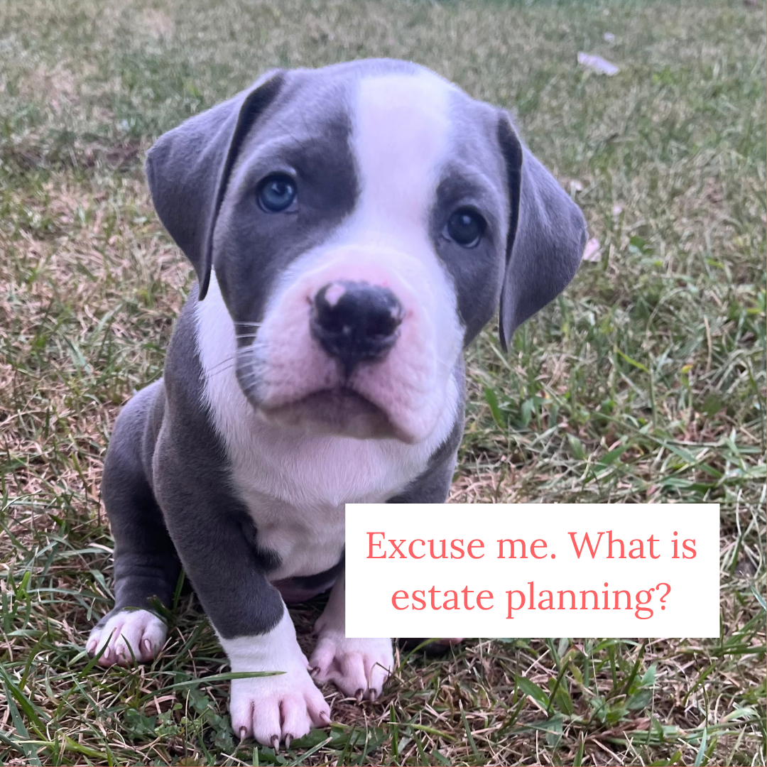 What Is Estate Planning?