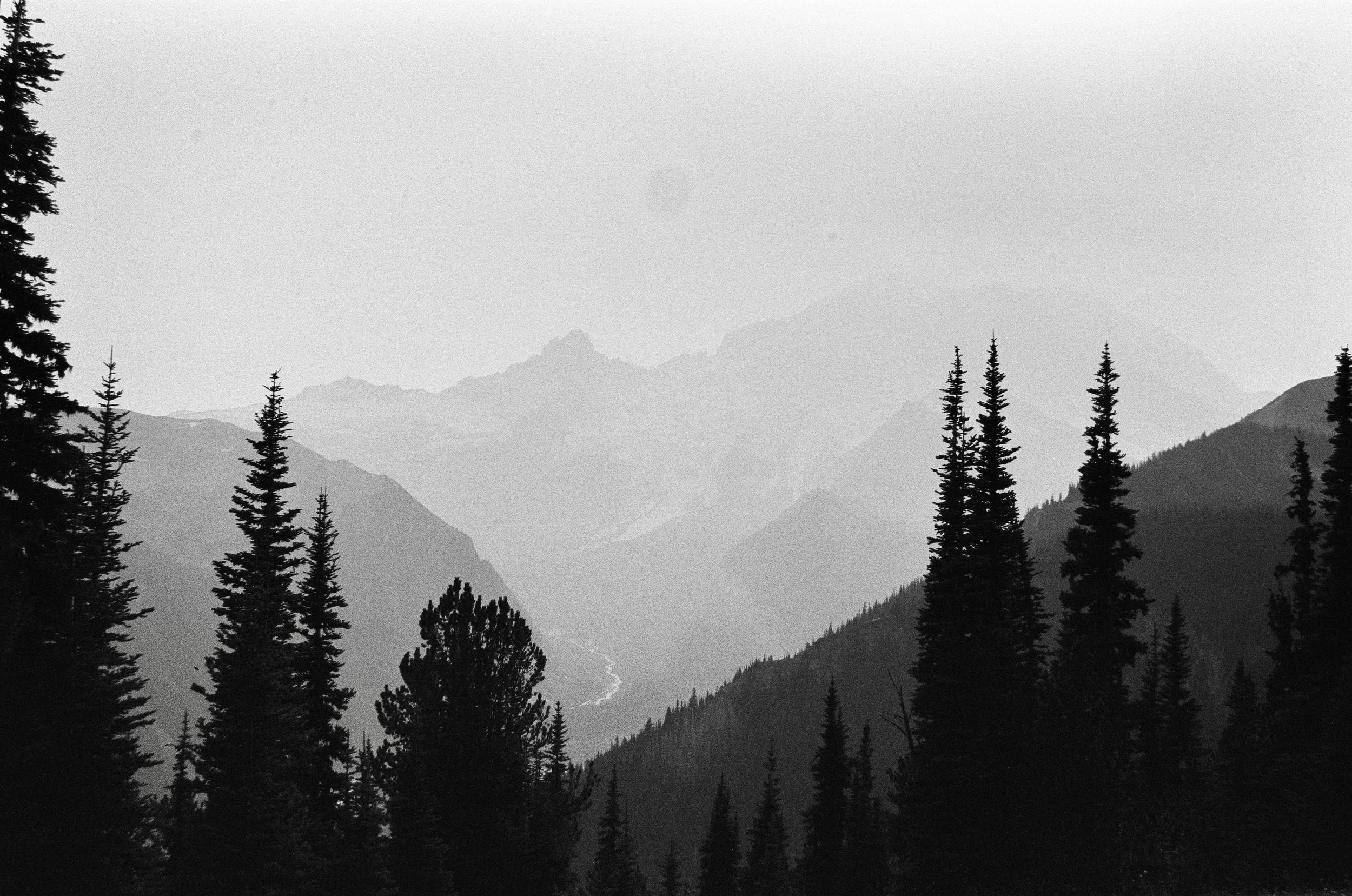 scan130040.jpeg
