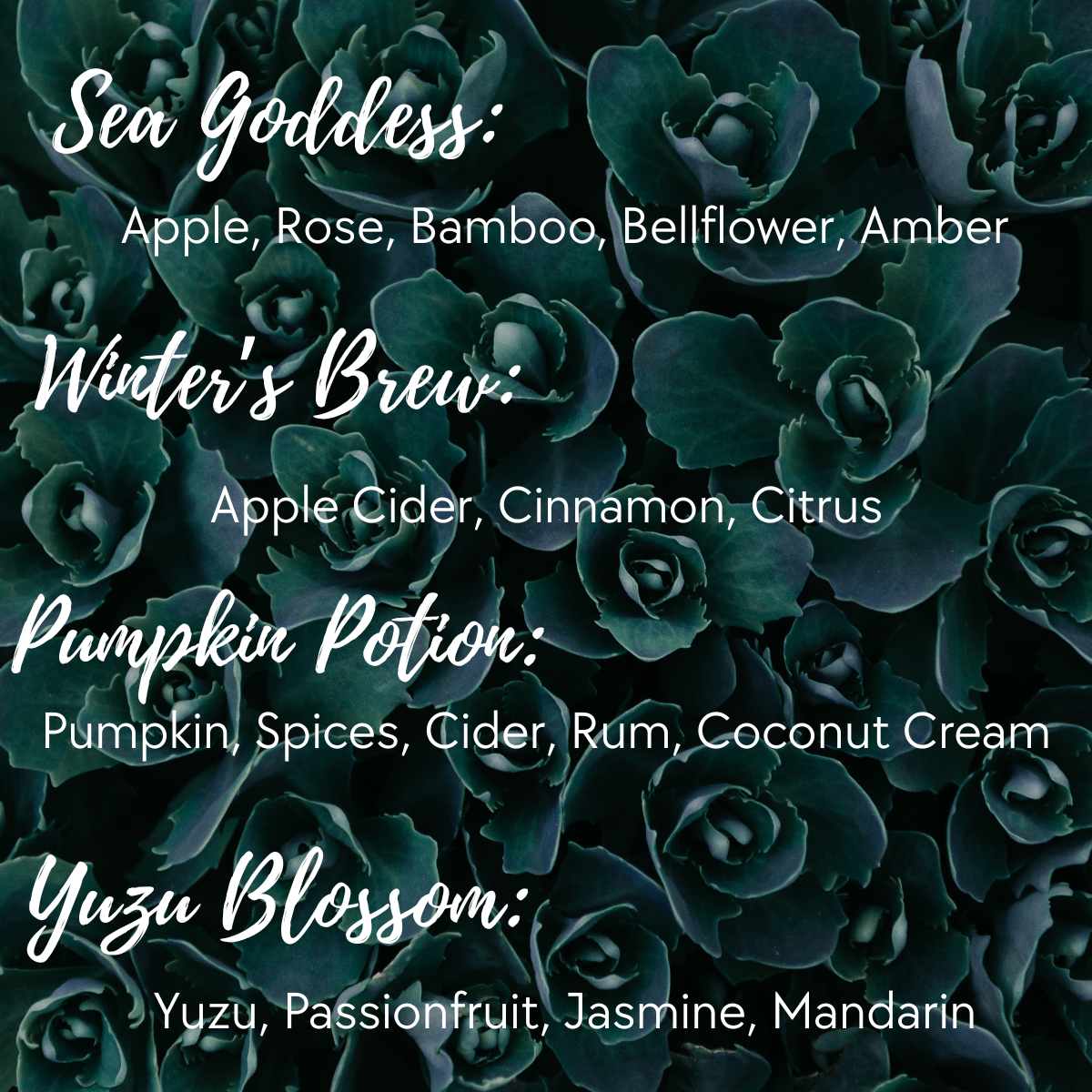 succulent candle scents1.png