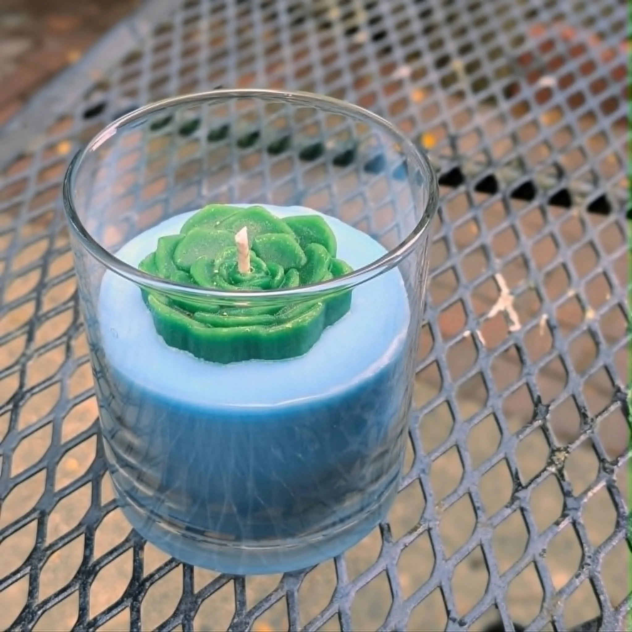 candle succulent.jpg