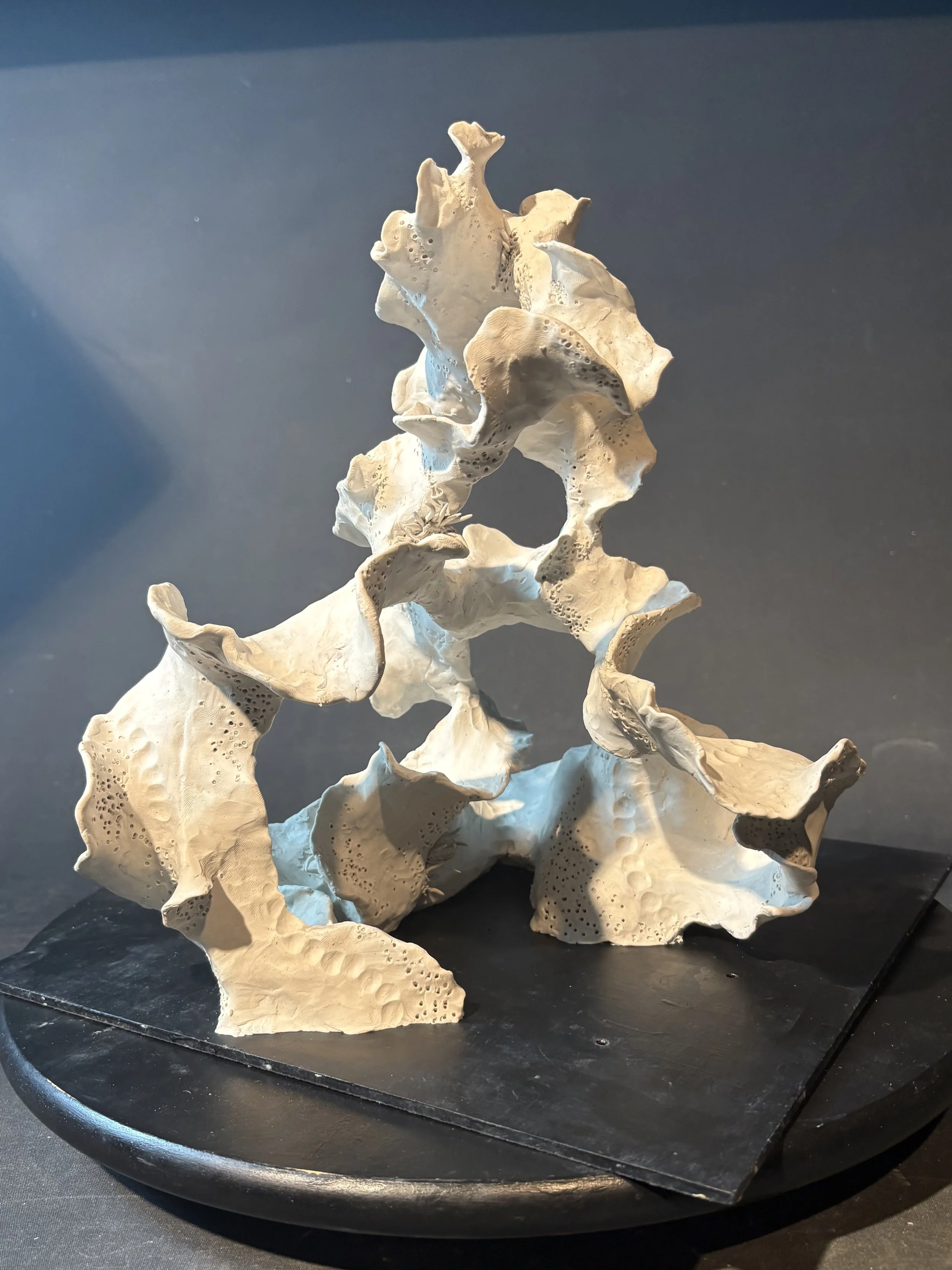 Organic Flow Sculpture 1