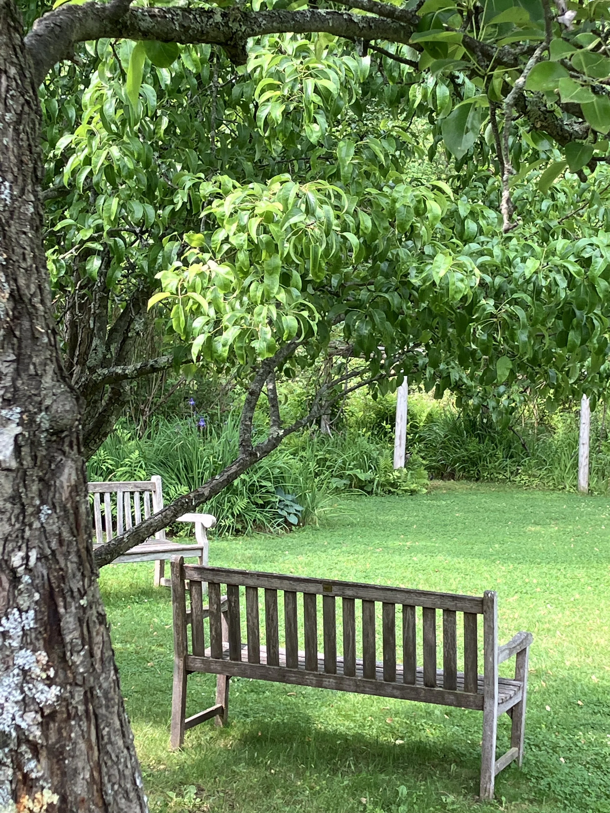 Emerson Out of Doors: Spring Garden Tour 2026