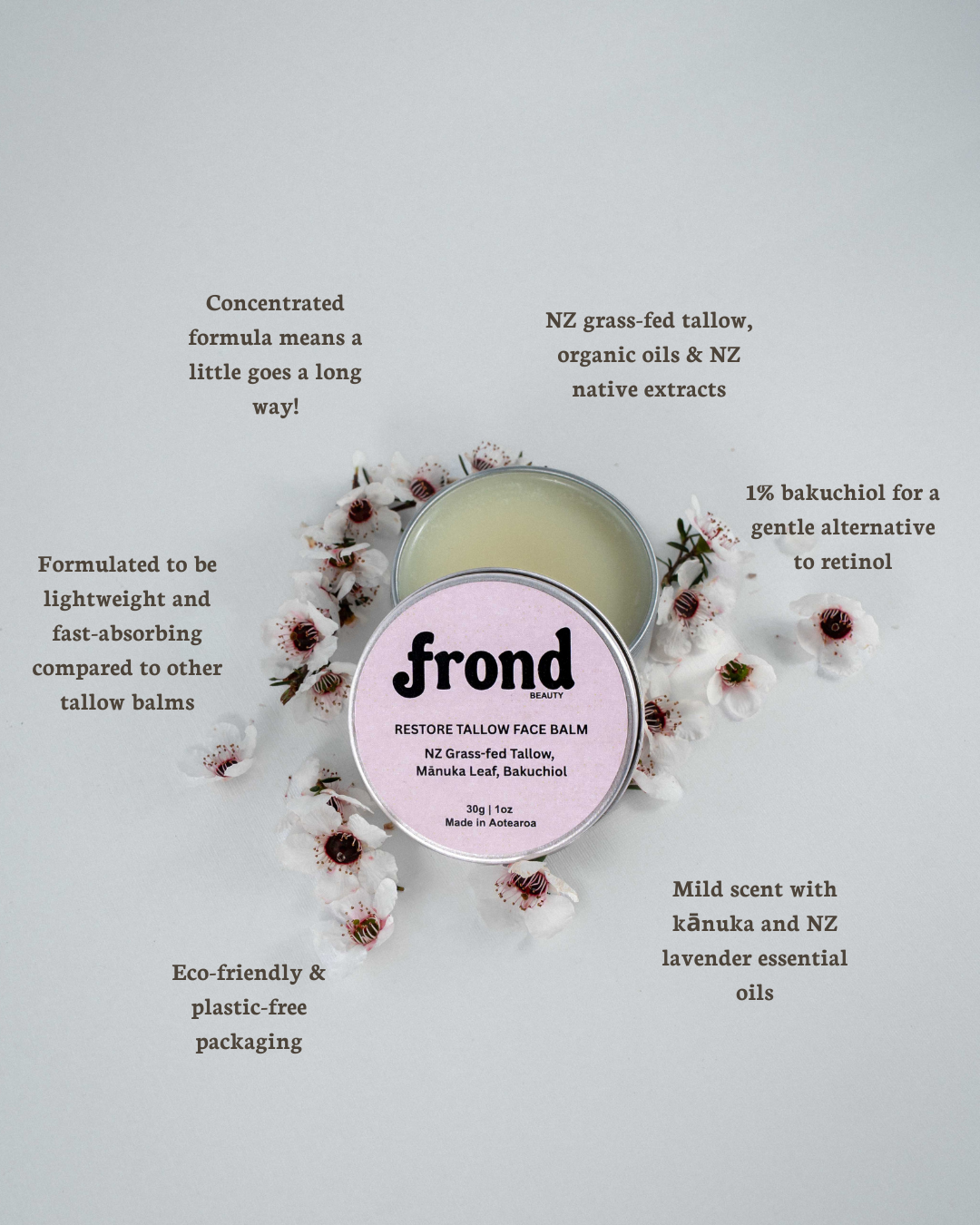 Website Photos (8).png