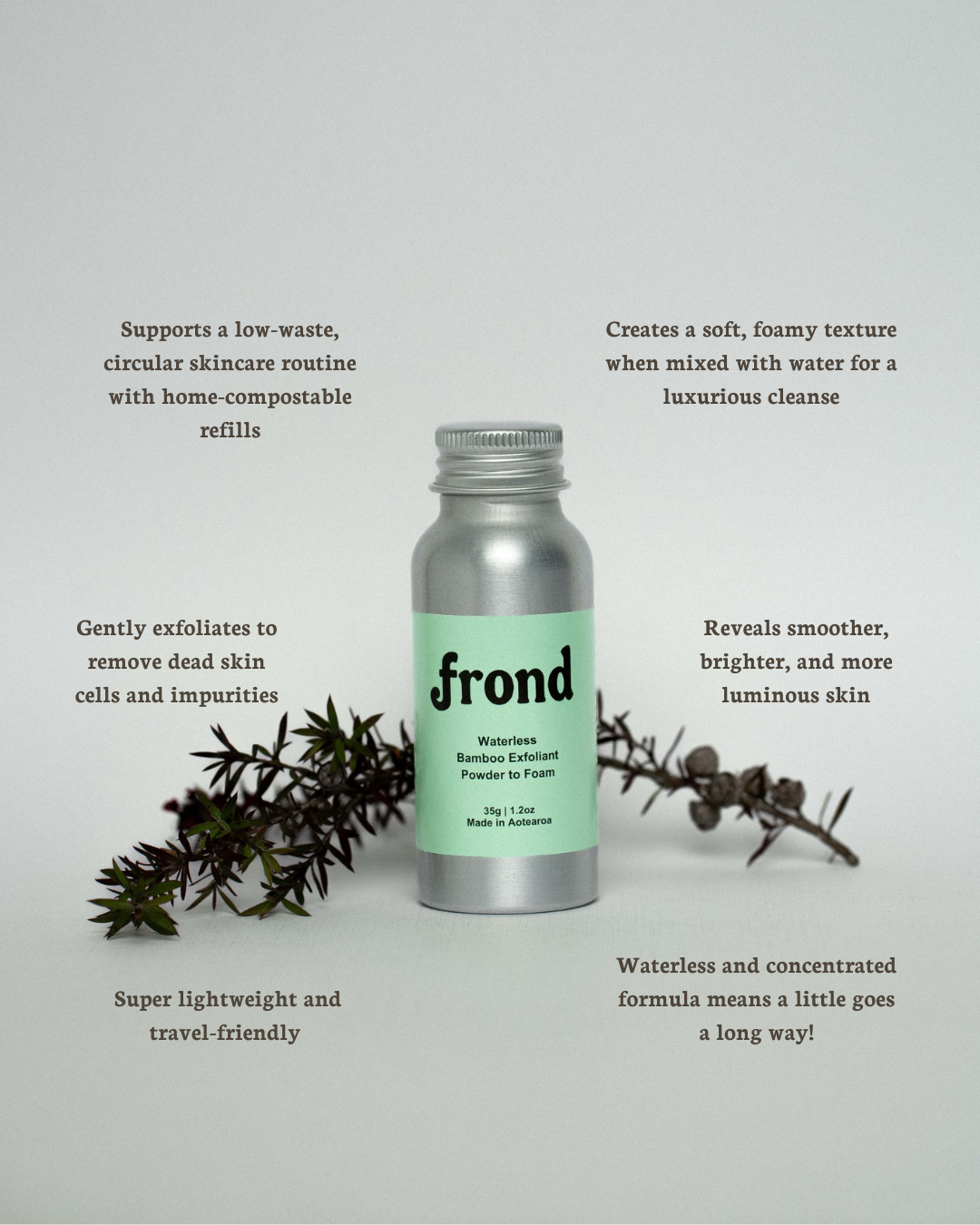 Website Photos (7).png