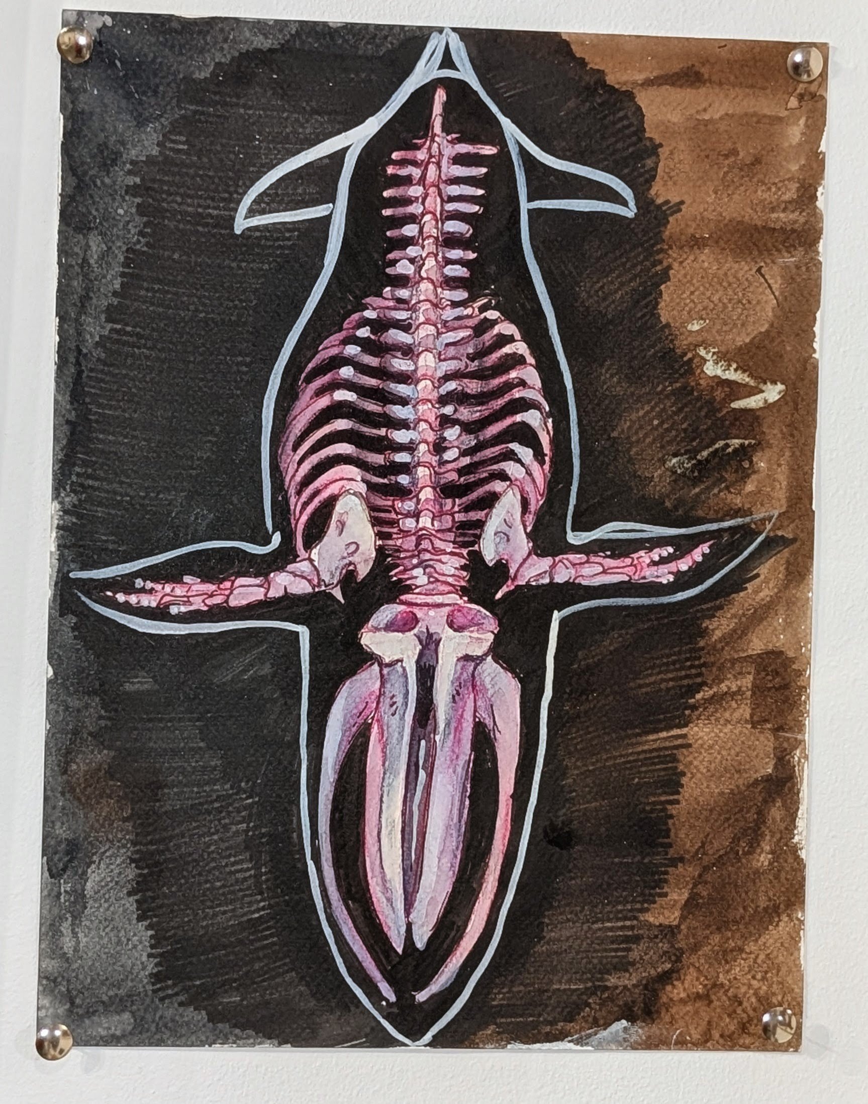 I love the way whale ribs and spines look, this diving blue whale skeleton showcases the interlocking bones as it plunges downwards. 