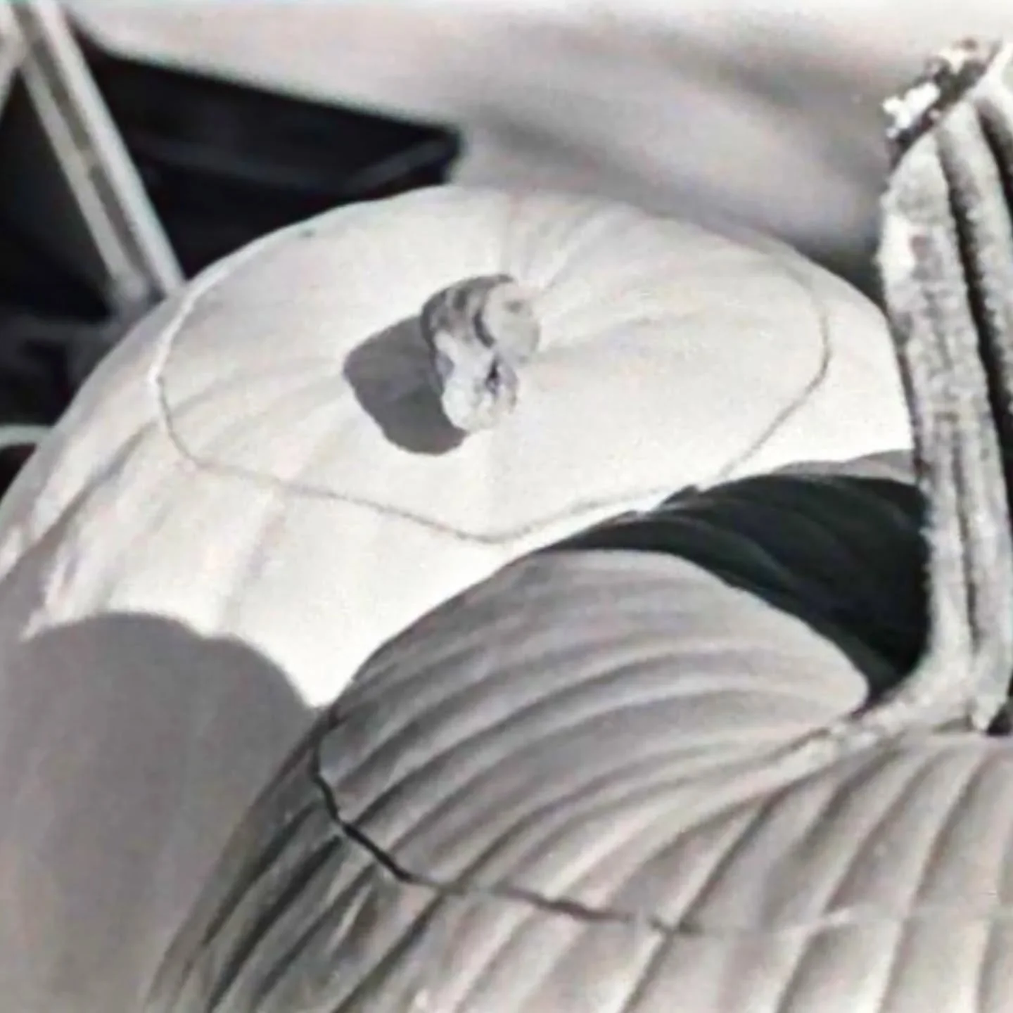 White and orange pumpkins
35mm
Kentmere 200