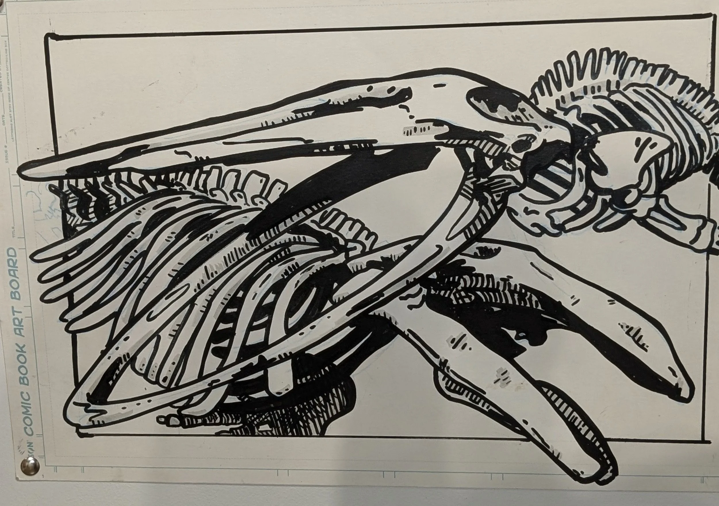 study of whale Skelton's, blue whale and grey whale. marker