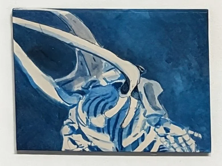 RIght of the the Blue, 2025 study of a right whale skeleton from the Field Museum.  watercolor.