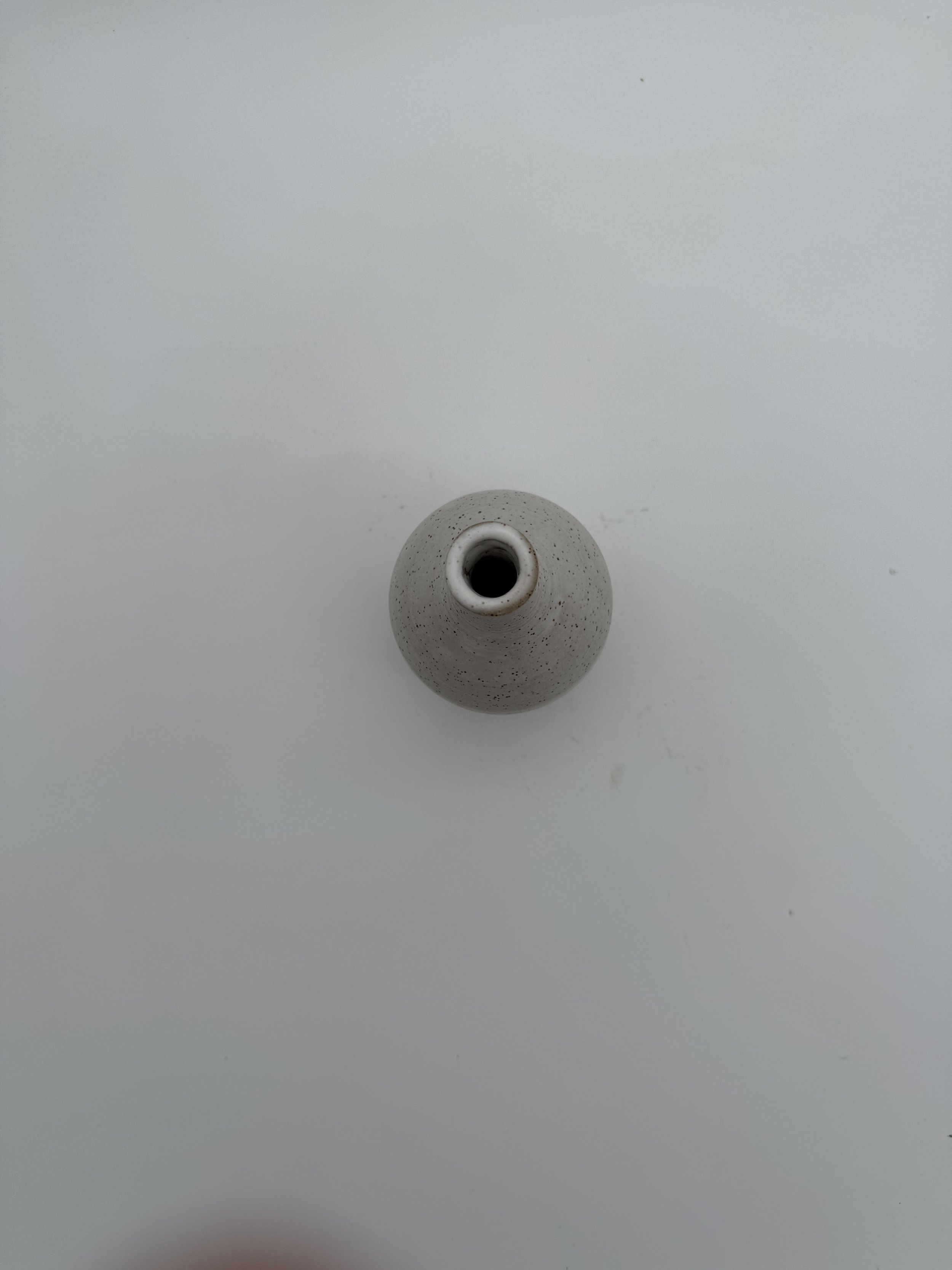 IMG_0241.jpeg