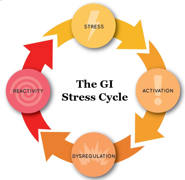 The GI Stress Cycle, a four part loop: stress leads to activation, activation leads to dysregulation, dysregulation leads to reactivity, and reactivity feeds back into stress.