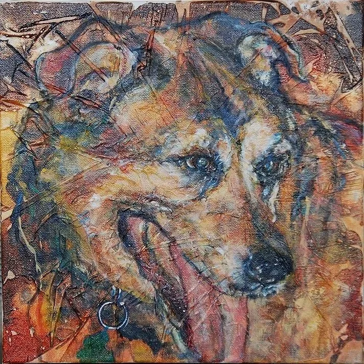 p6.jpg