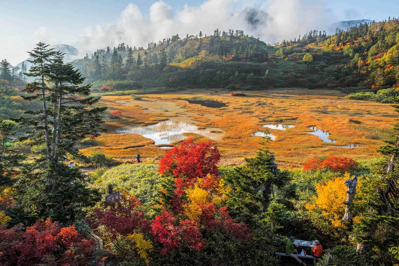 Modern 5 bedroom house lodge Myoko real estate ski in ski out