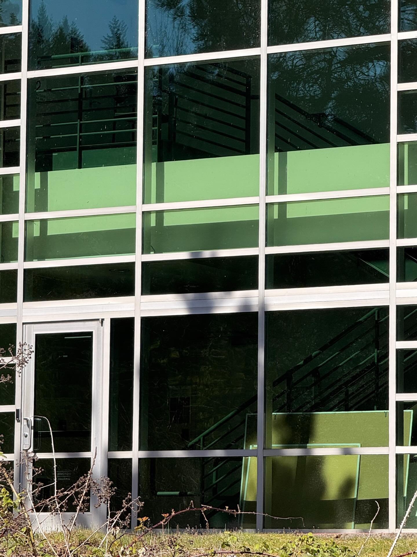 Green with env(ironment) 💚